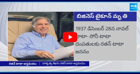 Ratan Tata Success Story