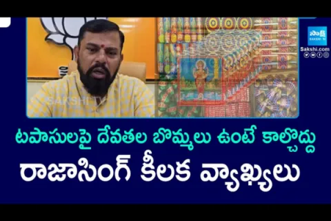 Raja singh Key Comments on Diwali Crackers