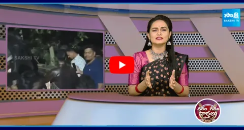 Tiger Hulchul In Anantapur