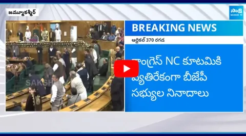 Jammu and Kashmir Assembly Chaos on Article 370