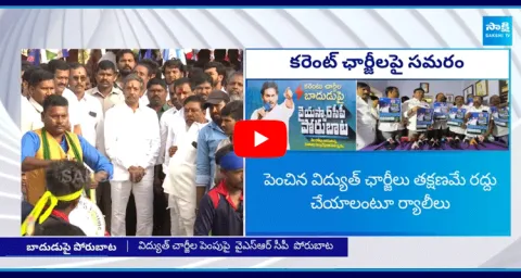 YSRCP Porubata On Electricity Charges Hike At Kurnool