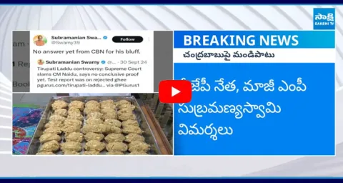 BJP MP Subramanian Swamy Sensational Comments On Chandrababu