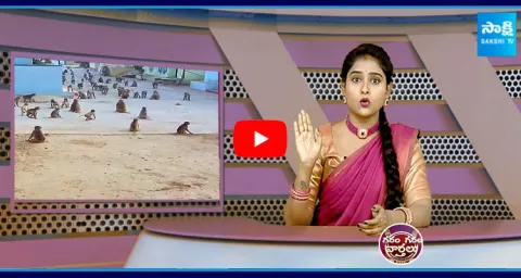 Monkeys Gang Hulchul In Jangaon District