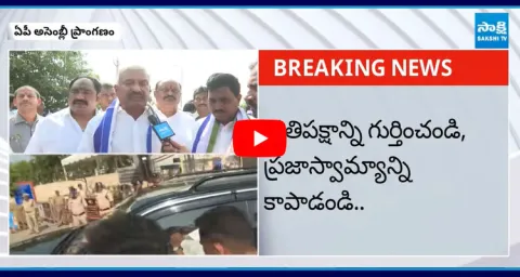 Peddireddy Ramachandra Reddy Sensational Comments On TDP Government