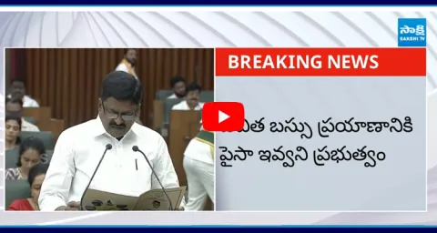 Minister Payyavula Keshav About AP Assembly Budget Session 2025