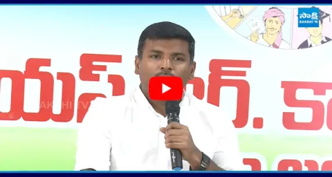 Gudivada Amarnath Satires On AP Budget 2025