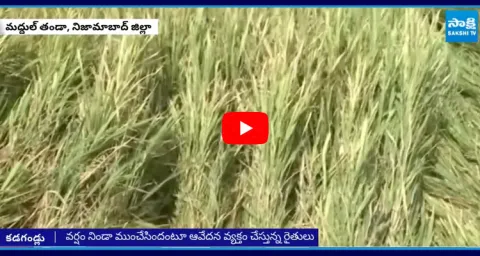 Farmer Gets Emotional Over Crop Damage Due To Sudden Rains  1