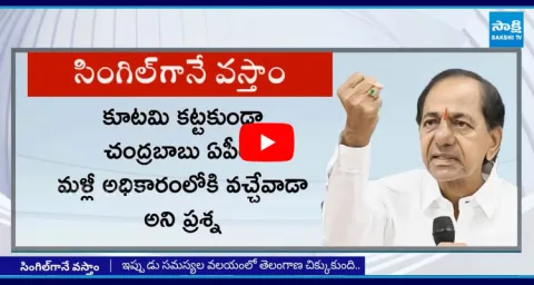 KCR Sensational Comments On Chandrababu Victory  3