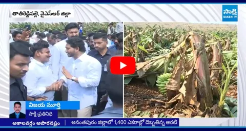 YS Jagan Meets Banana Crop Farmers In Tatireddy Palle  1