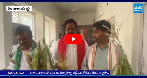 BJP MLAs Protest Over Damaged Crops Plants In Assembly Media Point  1