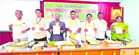 పసుపు ఎగుమతులతో రూ.1,876 కోట్ల ఆదాయం 