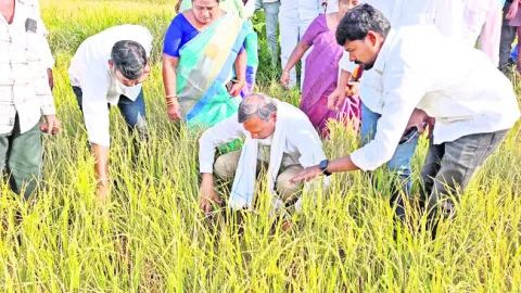 నష్టప