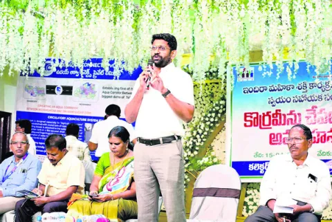 కొర్రమేను పెంపకంతో సిరులు