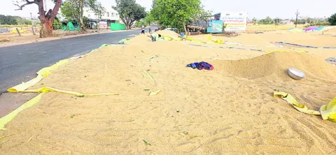 కాంట 