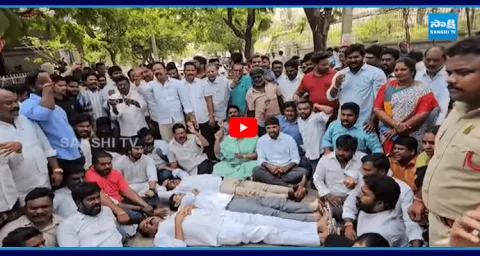 Bhumana Karunakar Reddy Protest On Road 1
