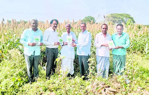 జొన్న చేనులో పుస్తకావిష్కరణ