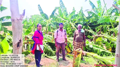దెబ్బ