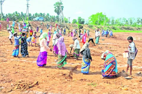 ఉపాధి