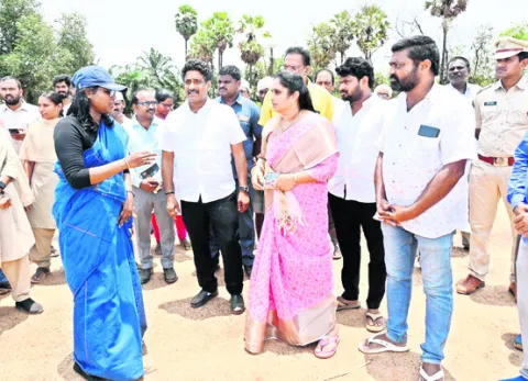 నరికిన చెట్ల కలప సంగతేంటి.? 
