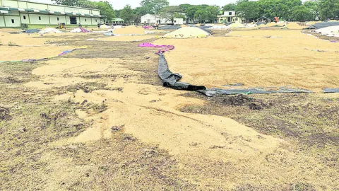 అన్నద