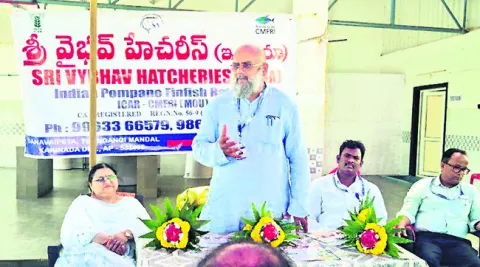చందువ చేప సాగు ఎంతో లాభదాయకం