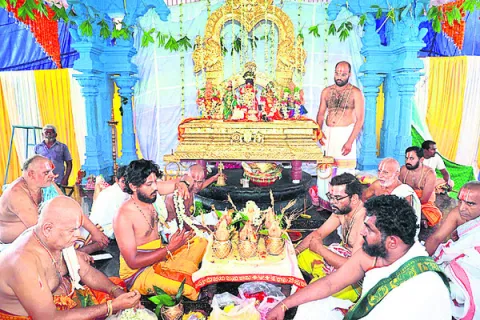 కనుల 