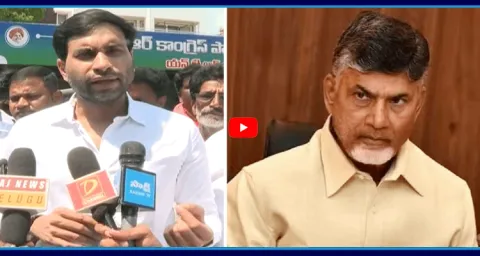 Devineni Avinash Comments On Chandrababu And TDP Government5