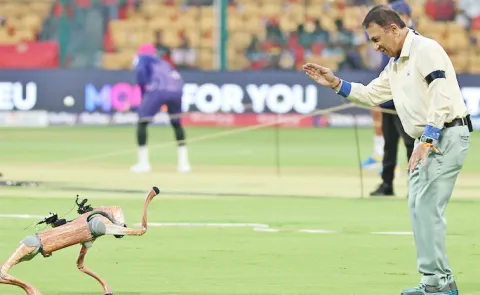 BCCI Sued After Naming IPL Robotic Dog Champak Delhi HC Issues Notice4