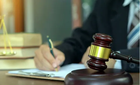 23-year land problem solution In Nizamabad Principal Junior Judge