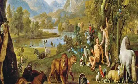Everything in this creation has a meaning spiritual story12