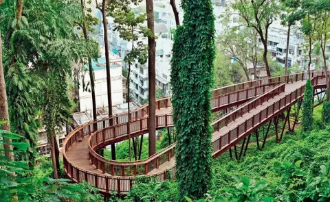 Mumbai first elevated forest walkway at Malabar Hill tourists rush
