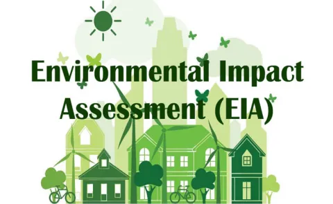 SC strikes down ex-post facto environmental clearances12