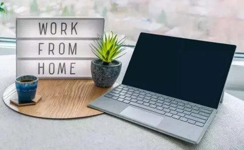 BJP MP in Karnataka Makes Work From Home Request To IT Companies7