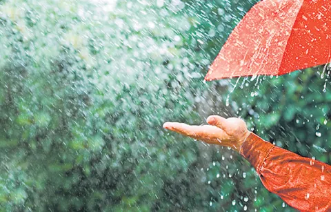 Rapidly expanding southwest monsoon