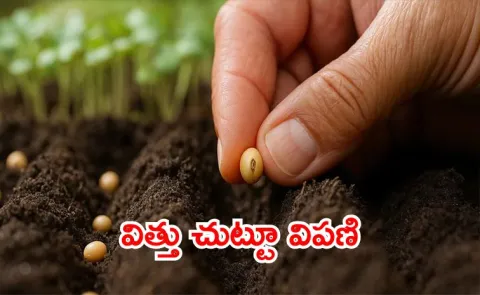 Business of Agricultural Seeds Cornerstone of Global Food Security