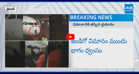 Panic Inside Delhi-Srinagar Flight Damaged As Hailstorm Hits Indigo Plane