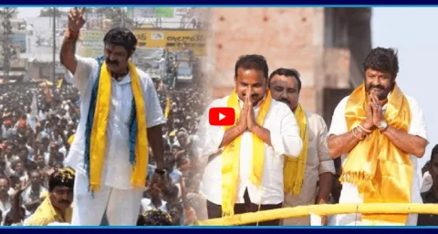 TDP Failure In Hindupur Nandamuri Balakrishna Constituency