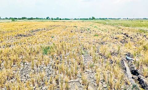 Farmers threatened in the name of setting up solar power plants Nandyal
