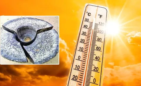 Rohini Karte 2025: Why This Time Strong Solar Activity And More Heat