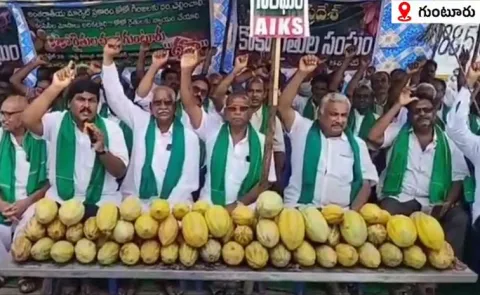 కోకో రైతులు ఆందోళన!