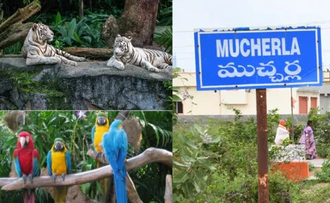 200 acres zoo park Near Fouth City In Telangana6