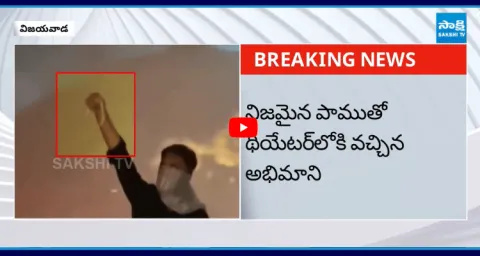 Mahesh Babu Fan Brought A Snake Into The Theatre10