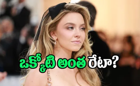 Sydney Sweeney Bathwater Soap Details