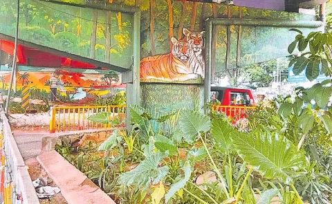 Message images remind people of wildlife conservation Begumpet Hyderabad14