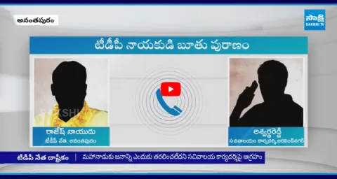 TDP Leader Abusing Words On Sachivalayam Employee