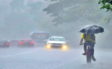 APSDMA Warns Heavy Rains In Few Areas Of AP10