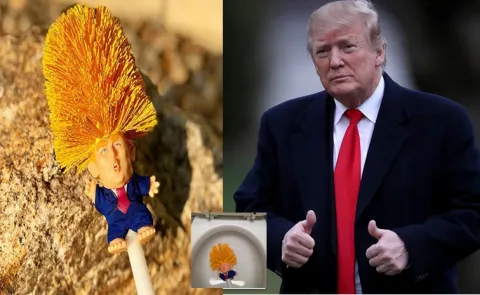 Chinese made toilet brush Look Like Trumps Hair style Agains his Tariffs14