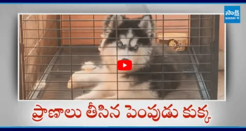 Sad Incident In Madhura Nagar Hyderabad3