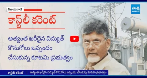 Chandrababu Agreement With Axis Energy India Limited With 4 Rupees 60 Paisa2