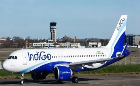 Passenger On Delhi-Shirdi IndiGo Flight Assaults Air Hostess Detained 14